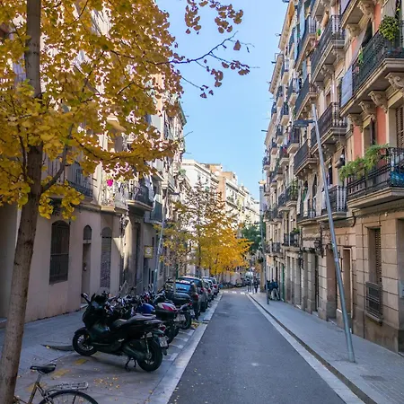Denis Salvà Montjuic *